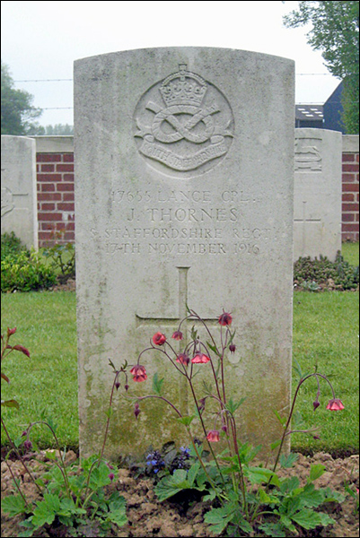 Thornes Joseph 96 401x600