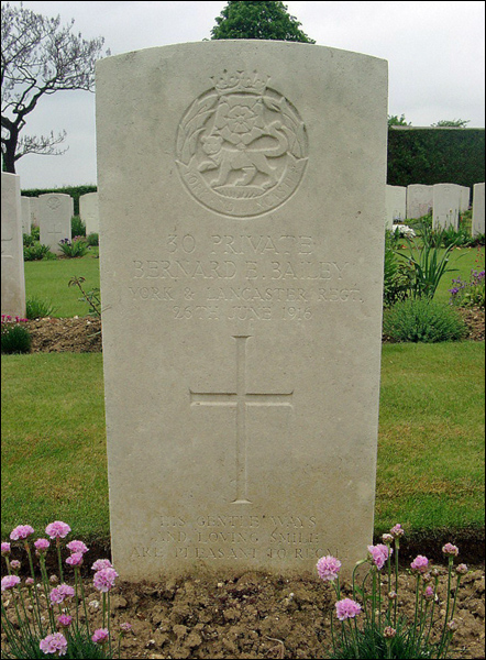 Bailey Bernard 96 442x600