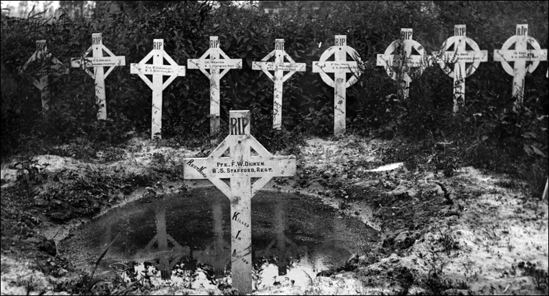 Bolt William MeninRd 96