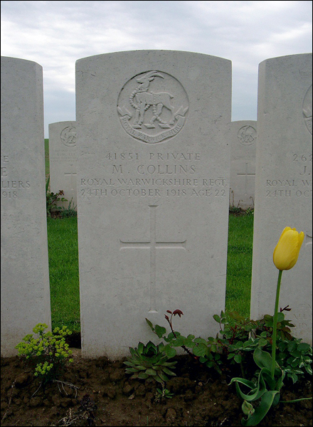 Collins Matthew 96 440x600