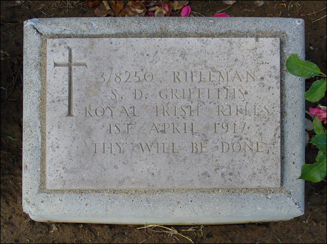 Griffiths Sydney 96 650x485