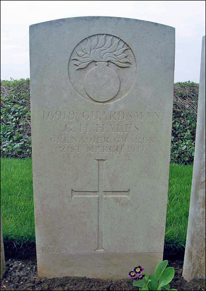 Hales George 96 425x600