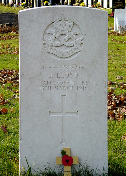 Lloyd John 96 428x600