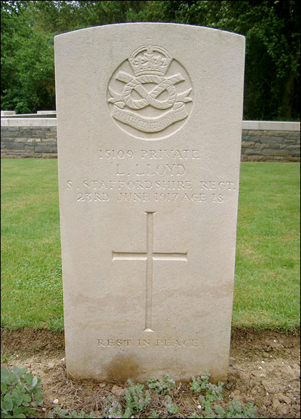 Lloyd Leonard 96 431x600