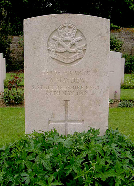 Maydew William 96 433x600