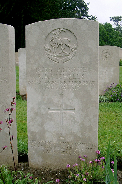 Photograph of Reginald Nicholl's grave Nicholls Reginald 96 400x600