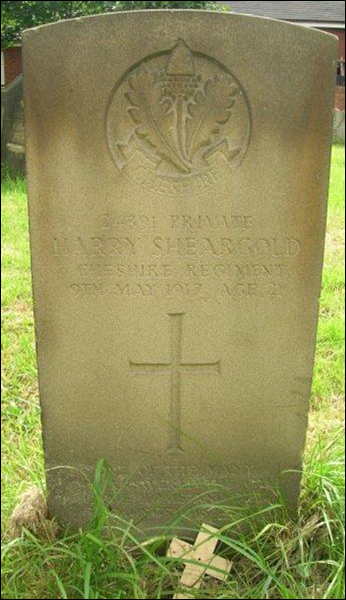 Sheargold Harry 96 346x600