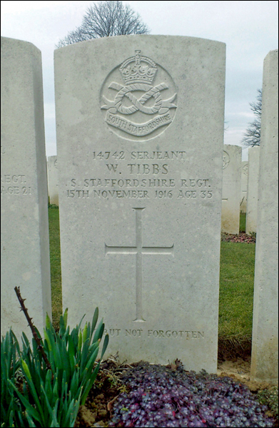 Tibbs William 96 391x600