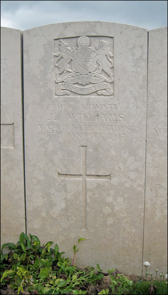 Williams John 96 341x600