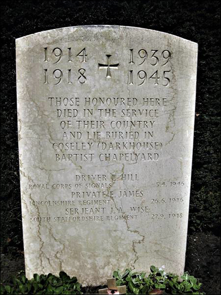 Wise John 96 450x600