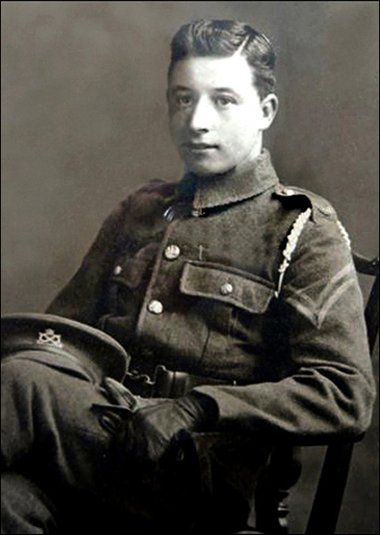 Bolt William 96 426x600