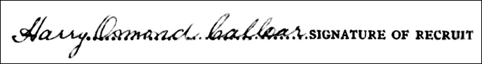 Callear Harry Signature 96 700x94