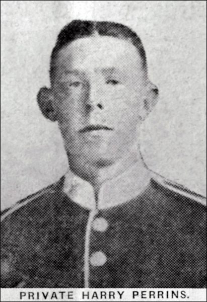 Perrins Harry 96 411x600