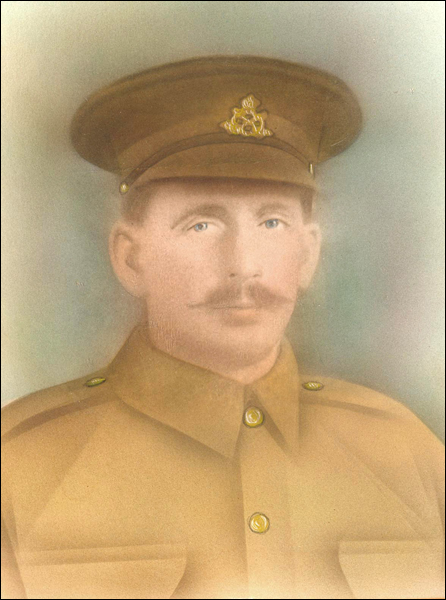 Tibbs William 96 446x600