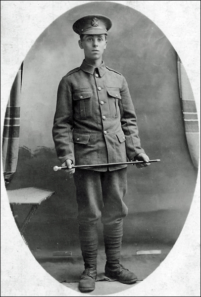 Wall William 96 406x600